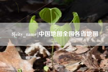 资阳中国地图全图各省地图