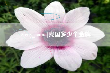 资阳我国多少个金牌