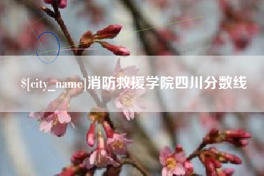 资阳消防救援学院四川分数线