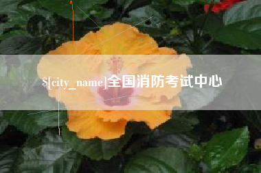 资阳全国消防考试中心