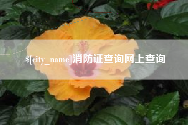 资阳消防证查询网上查询