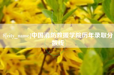 资阳中国消防救援学院历年录取分数线