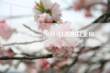 资阳11月9日消防日全称