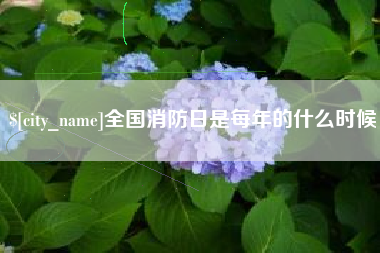 资阳全国消防日是每年的什么时候