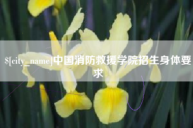 资阳中国消防救援学院招生身体要求