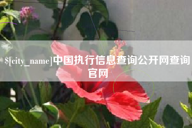 资阳中国执行信息查询公开网查询官网