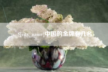 资阳中国的金牌有几名