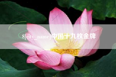 资阳中国十九枚金牌