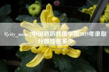 资阳中国消防救援学院2019年录取分数线是多少