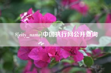 资阳中国执行网公开查询