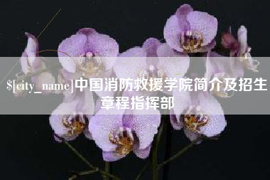 资阳中国消防救援学院简介及招生章程指挥部