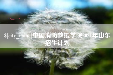 资阳中国消防救援学院2021年山东招生计划