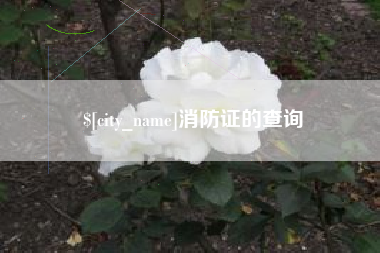 资阳消防证的查询