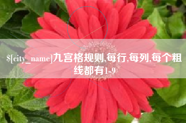 资阳九宫格规则,每行,每列,每个粗线都有1-9