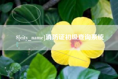 资阳消防证初级查询系统