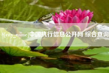 资阳中国执行信息公开网 综合查询