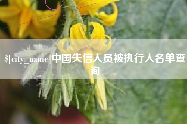 资阳中国失信人员被执行人名单查询