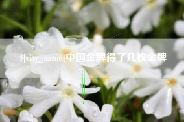 资阳中国金牌得了几枚金牌