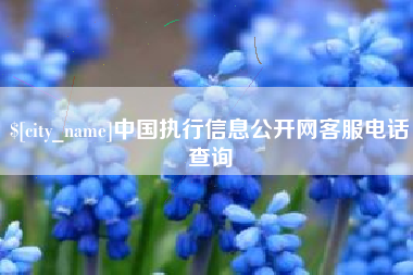 资阳中国执行信息公开网客服电话查询