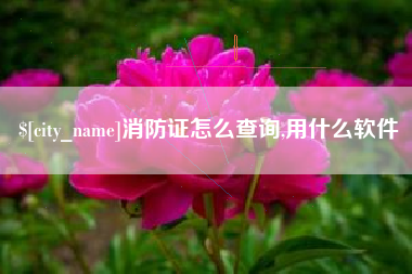 资阳消防证怎么查询,用什么软件