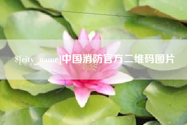 资阳中国消防官方二维码图片
