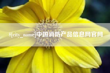 资阳中国消防产品信息网官网