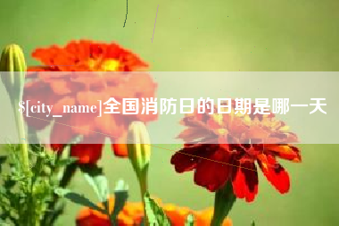 资阳全国消防日的日期是哪一天