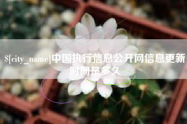 资阳中国执行信息公开网信息更新时间是多久