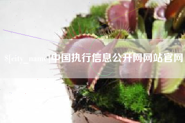 资阳中国执行信息公开网网站官网
