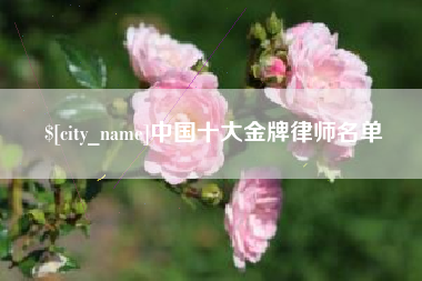 资阳中国十大金牌律师名单