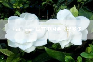 资阳现在中国金牌是多少
