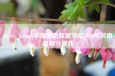 资阳中国消防救援学院2020年河南录取分数线