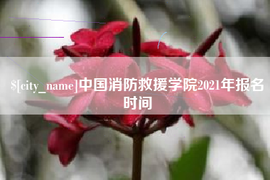 资阳中国消防救援学院2021年报名时间
