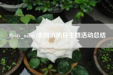 资阳全国消防日主题活动总结