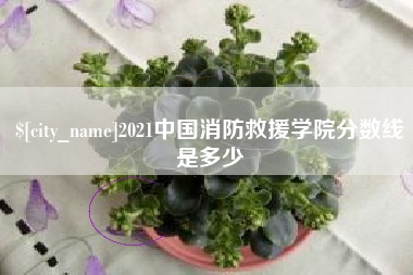 资阳2021中国消防救援学院分数线是多少