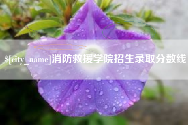 资阳消防救援学院招生录取分数线