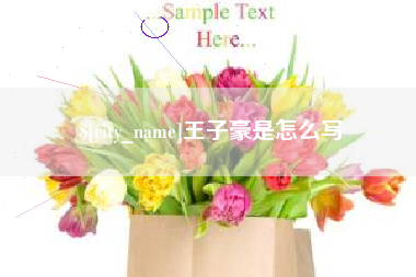 资阳王子豪是怎么写