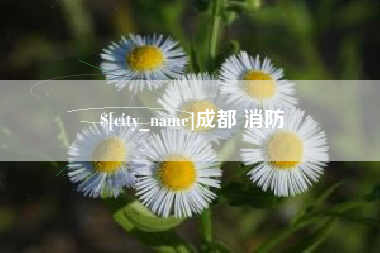资阳成都 消防