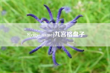 资阳九宫格盘子