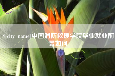 资阳中国消防救援学院毕业就业前景如何