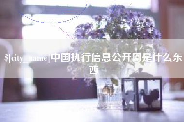 资阳中国执行信息公开网是什么东西