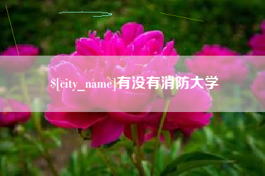 资阳有没有消防大学