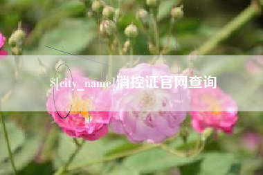 资阳消控证官网查询