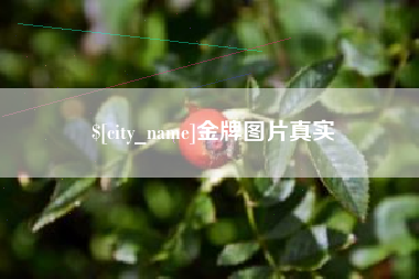 资阳金牌图片真实
