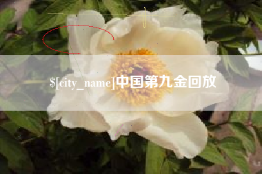 资阳中国第九金回放