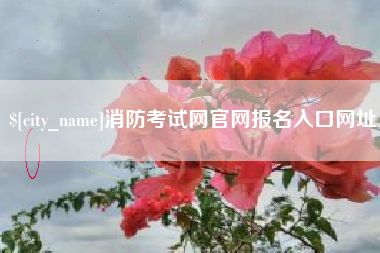 资阳消防考试网官网报名入口网址