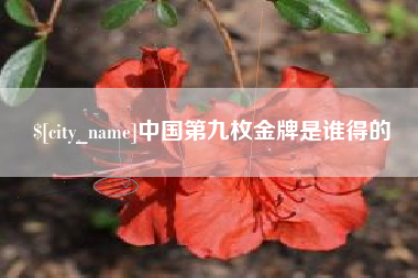 资阳中国第九枚金牌是谁得的