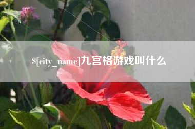 资阳九宫格游戏叫什么