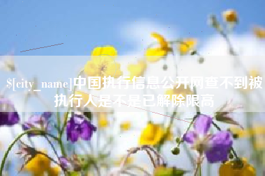 资阳中国执行信息公开网查不到被执行人是不是已解除限高