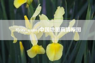 资阳中国地图高清原图